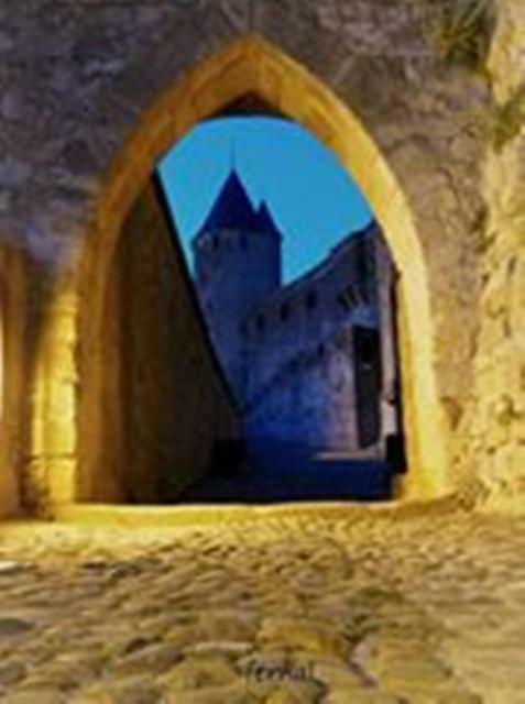 La Bulle Familles Clim, Wifi, Airport Shuttle,Tout A Pied Carcasona Exterior foto